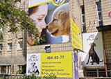 5 лет диагностическому центру на Виноградаре!