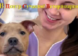 Акция в клинике ЦСВМ на ул. Архитектора Николаева
