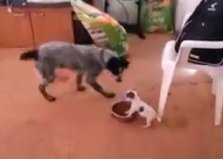 Тот самый момент, когда размер не имеет значения