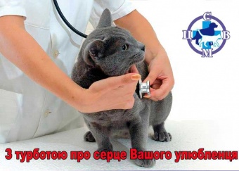 Позаботьтесь о сердце вашего любимца!
