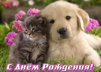 День рождения филиала ЦСВМ-Жилянская