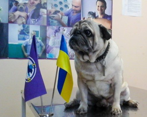 Степа