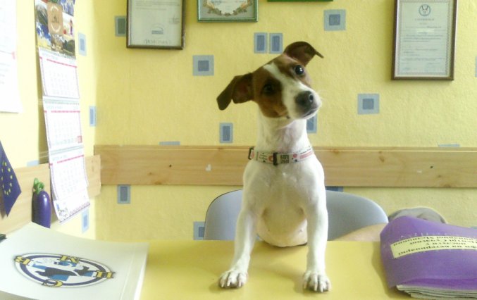 Майя
