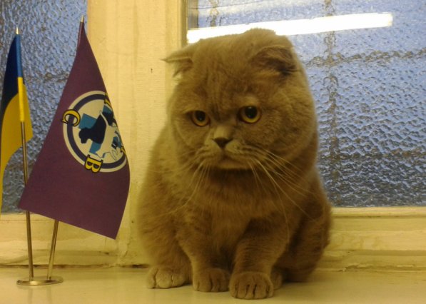 Тимуджин