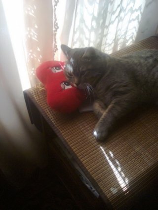 С днем Св.Валентина