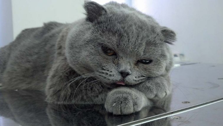 Отдых