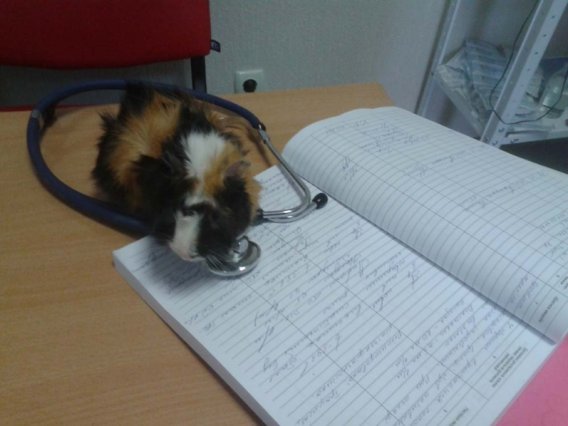 На приеме