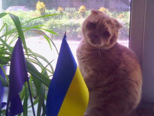 Мишель