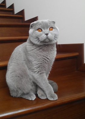 Малыш
