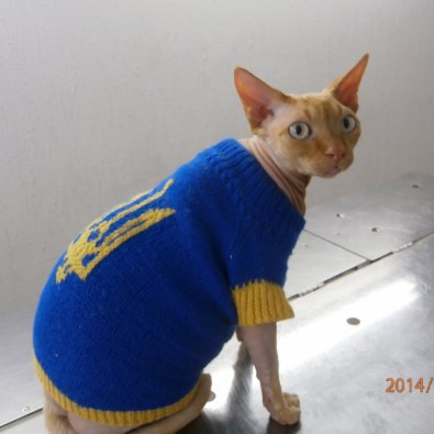 Эй