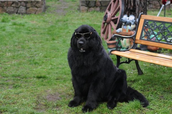 Барик в клипе Дениса Любимова Любви больше нет