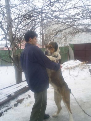 Какой чудесный танец