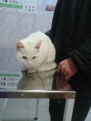 Задумчивая Анфиса