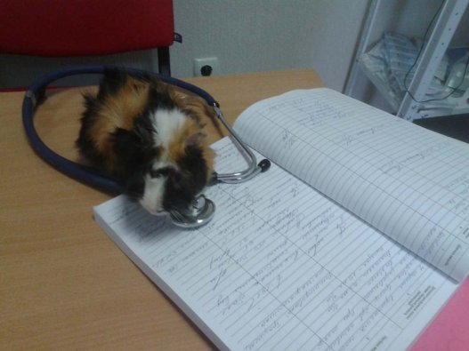 На приеме