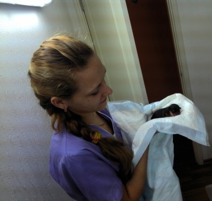 Диво нового життя Диво нового життя