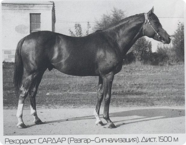 Сардар