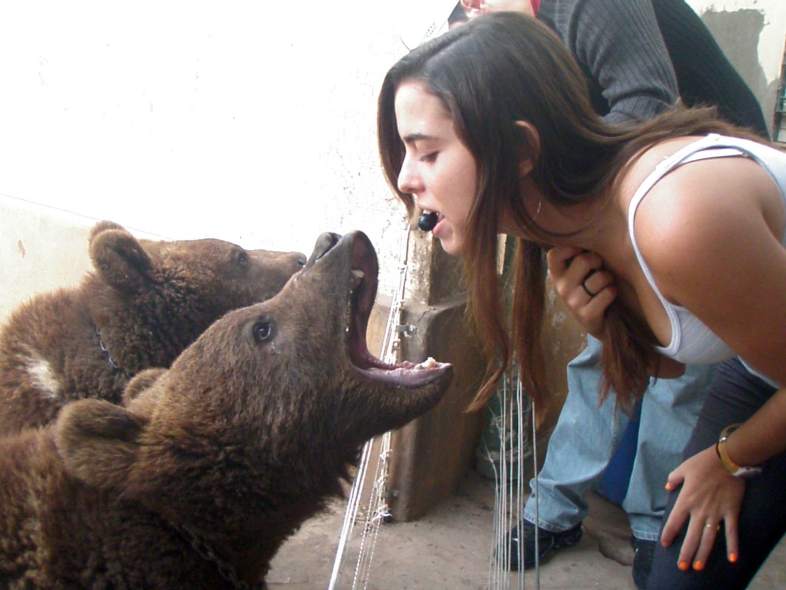 Lujan Zoo Lujan Zoo