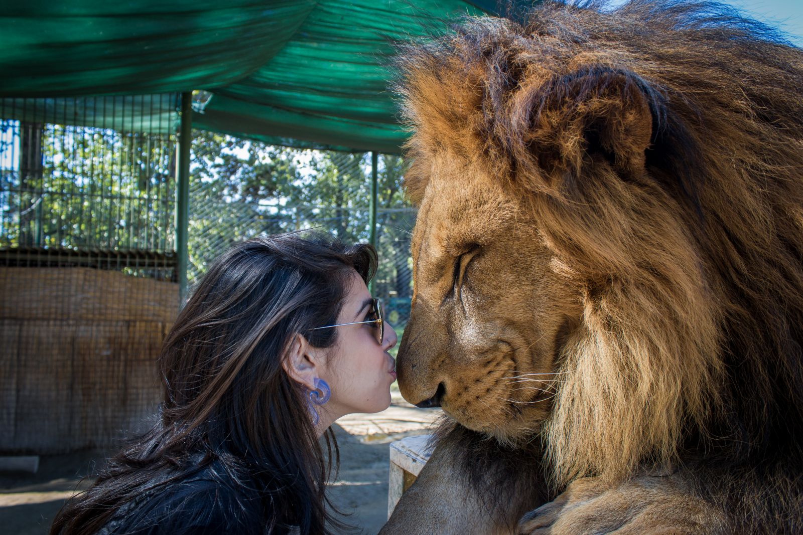 Lujan Zoo Lujan Zoo