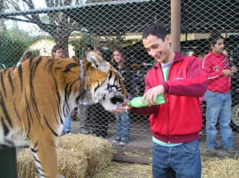 Lujan Zoo Lujan Zoo