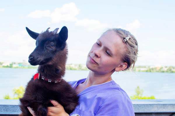 Vet-&-Little-goat