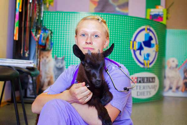 With-love-for-each-Animal